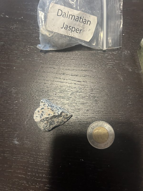 Raw Dalmatian Jasper/Dalmatian Stone