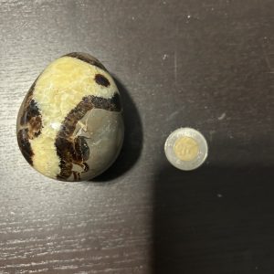Septarian Stone Egg