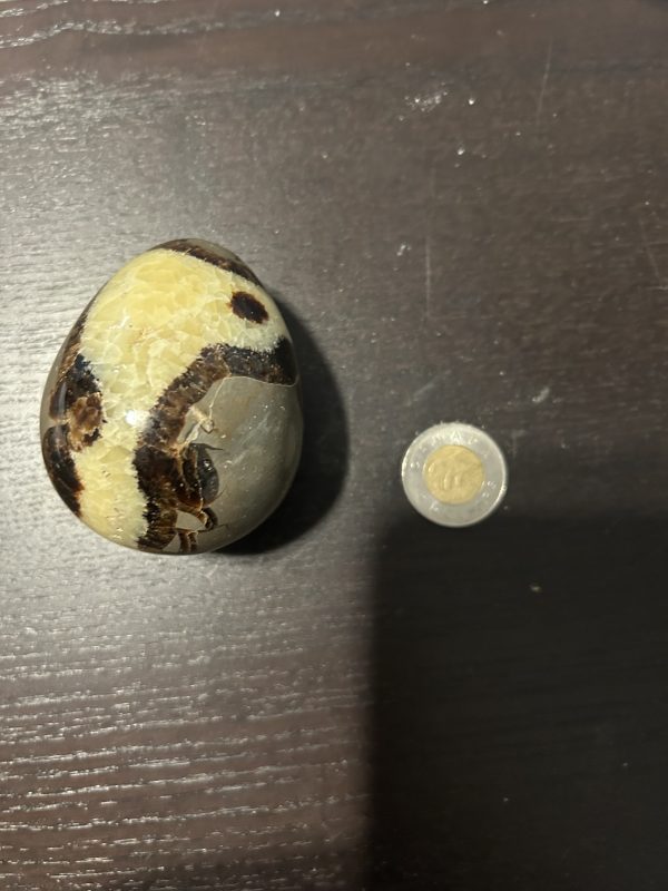 Septarian Stone Egg
