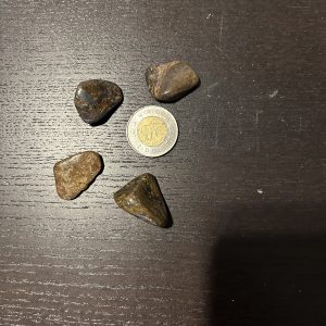 Bronzite Tumble Stone
