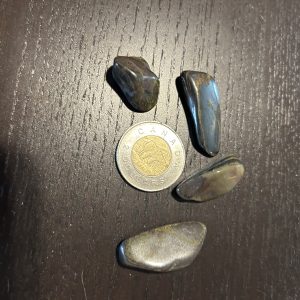 Tigers Iron Tumble Stone