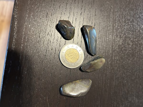 Tigers Iron Tumble Stone