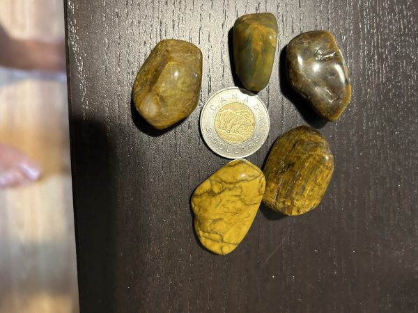 Lionskin Tumble Stone