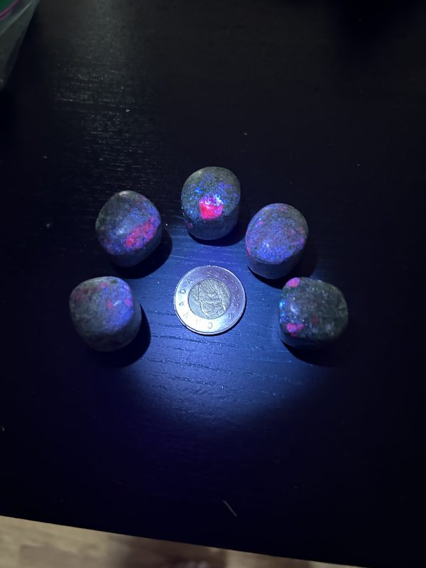 Ruby in Kyanite